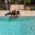 Пленка ПВХ CGT Alkor AQUASENSE 3D Granit Sand 1,8мм 25х1,65м (41173800) Пленка ПВХ CGT Alkor AQUASENSE 3D Granit Sand 1,8мм 25х1,65м (41173800)